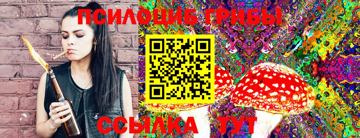 Псилоцибиновые грибы Magic Shrooms Рославль