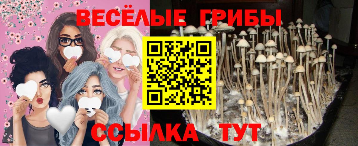 Рославль  Галлюциногенные грибы мухоморы  Вход с VPN 